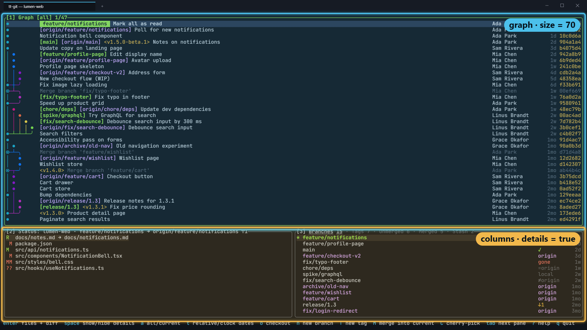 The default layout: the graph at 70 percent, and a row of status and branches where details opens
